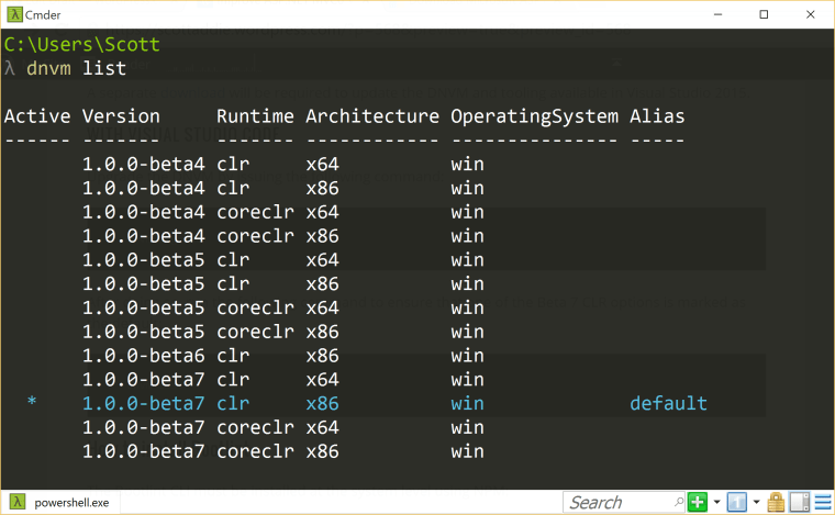 dnvm list console output